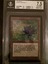 Black Lotus - Beta - BGS graded 7.5 (9.5, 7.5, 6.5, 7.5) MTG Magic BFG